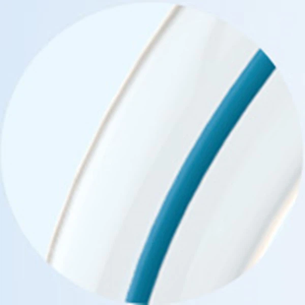 SC PTCA Dilation Balloon Catheter